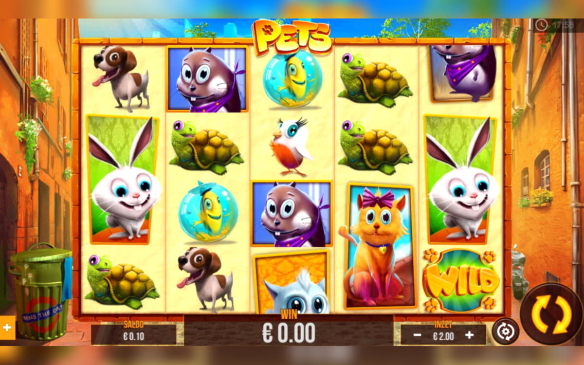 255 Casino Spins percuma di Dunder Casino